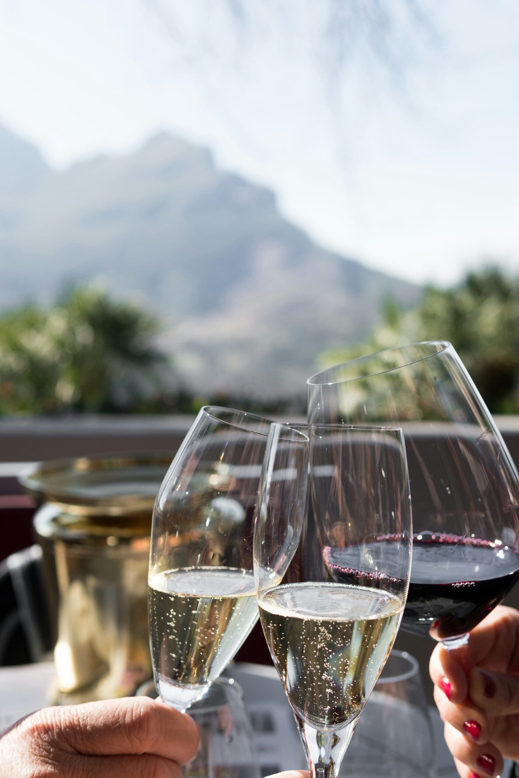 Country club members toasting with sparkling and red wine on a sunny clubhouse terrace